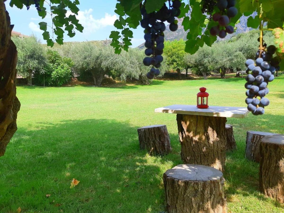 Dimitriou Apartment